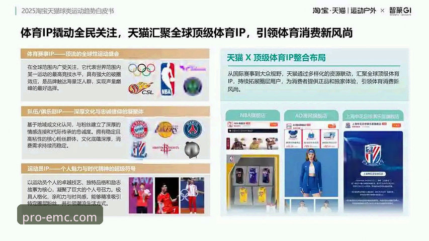 易倍体育平台官网 资深体育爱好者深度解析:易倍体育平台官网的体验与未来趋势